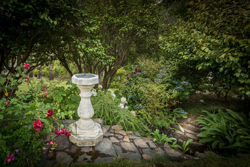 Beaufort House 아카로아 외부 사진